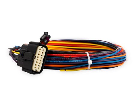 e-Level Main Harness on Sale