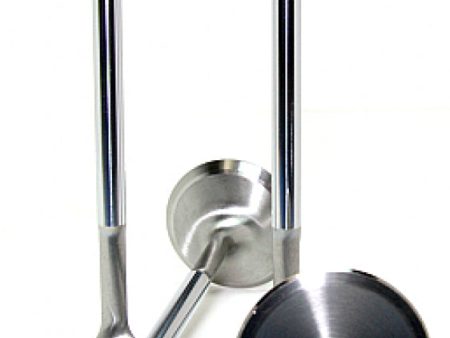 GSC P-D Audi V10 5.2L DAZA 2.5L 33.8mm Head STD 104.4mm Long Chrome Polished Intake Valve- Set of 10 Supply