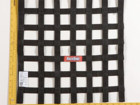 RaceQuip Black 18 X 18 SFI Ribbon Net For Sale