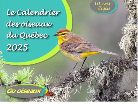 Go oiseaux ! Calendrier Oiseaux du Québec 2025 Online Sale