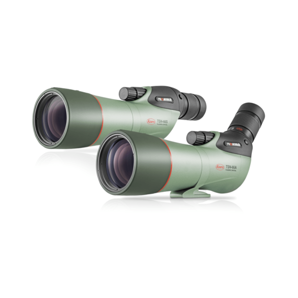 Kowa TSN-66 Series Prominar Spotting Scopes For Discount